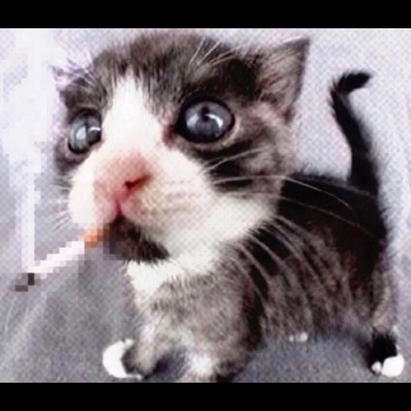 Poshmark profile picture for @panicked